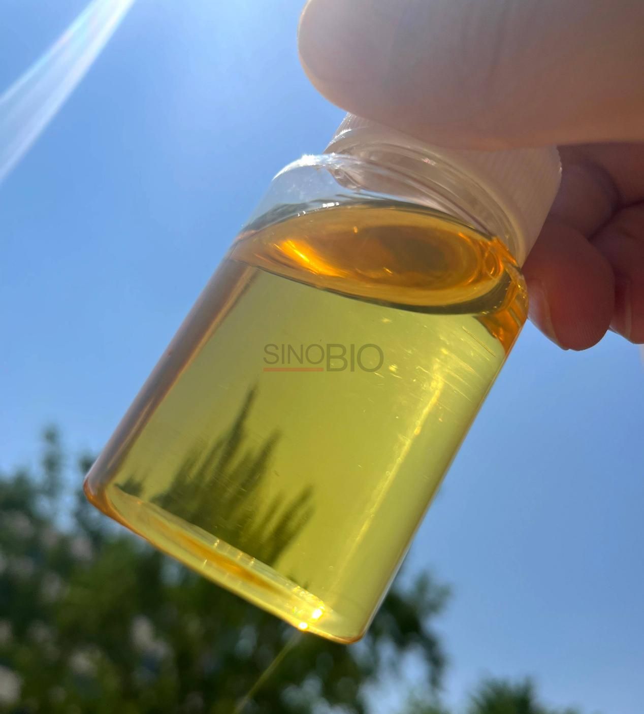 PIBSA (anh&iacute;drido poliisobutenil succ&iacute;nico) (2)