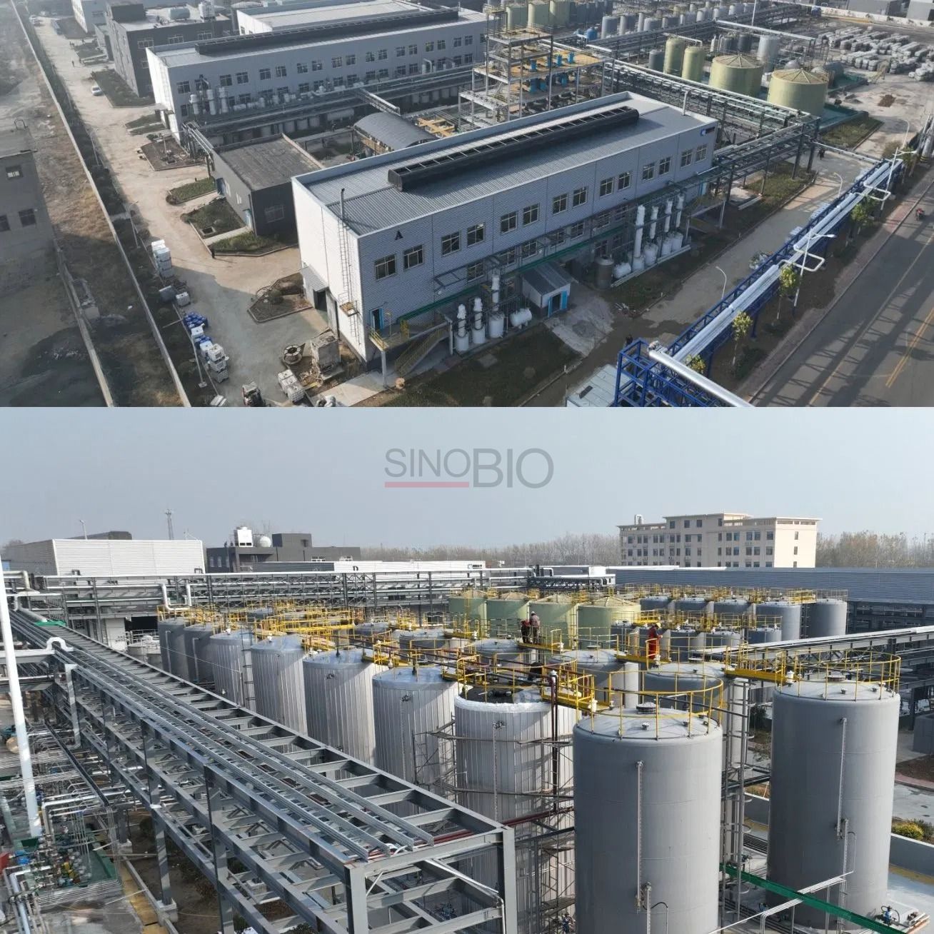 China-F&aacute;brica-Sinobio-Venta al por mayor-1-Hidroxietilideno-1-HEDP-60-CAS-No-2809-21-4