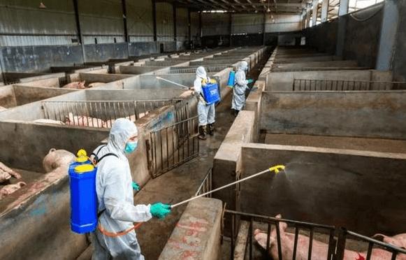 Cloruro de benzalconio para desinfecci&oacute;n ambiental.