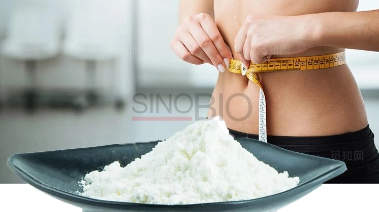 L-Carnitina: Un análisis exhaustivo del 'Capitán de transporte' para quemar grasa