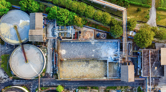 Proceso de eliminaci&oacute;n